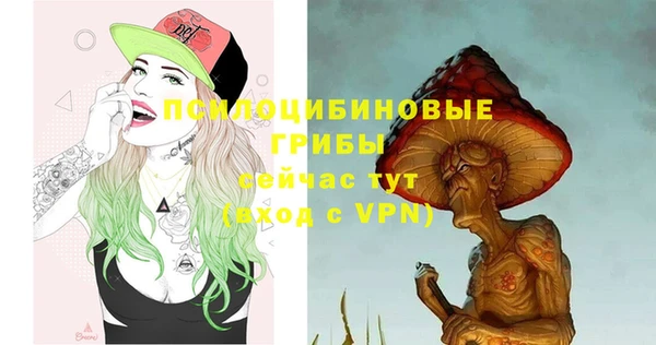 кокс Абаза