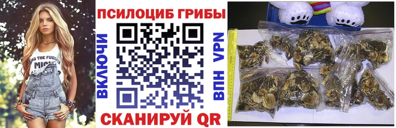 купить   Ефремов  Псилоцибиновые грибы Psilocybine cubensis 
