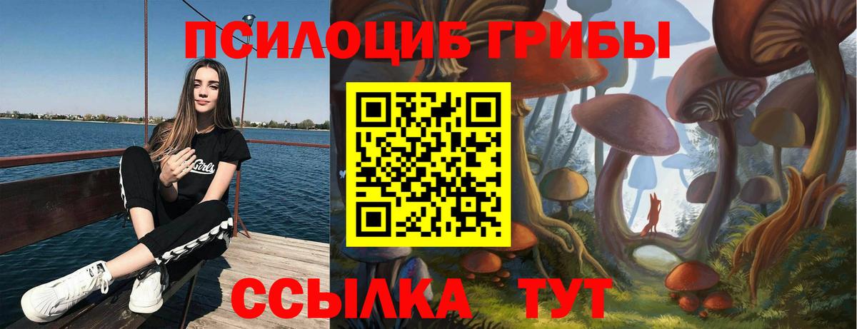 Ефремов  Псилоцибиновые грибы Cubensis  Вход с VPN 