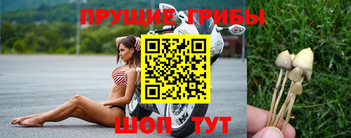 Галлюциногенные грибы GOLDEN TEACHER Ефремов